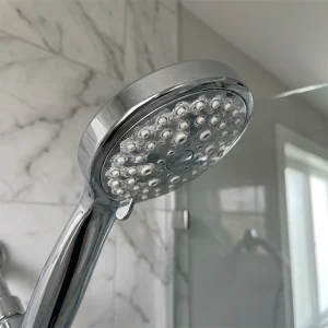 Mineral Build-up Shower Head