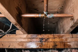 Finding hidden water leaks in the home